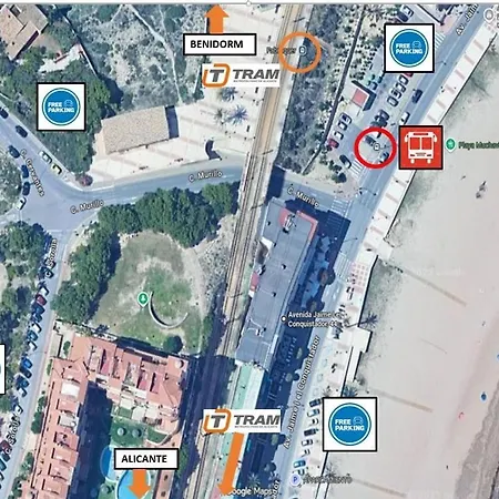 Arena * Alicante